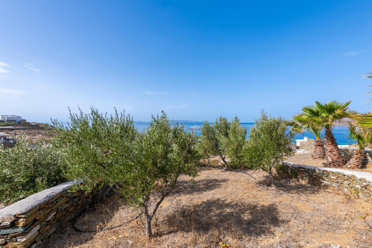Aegean Dream Apartments Tínos エクステリア 写真