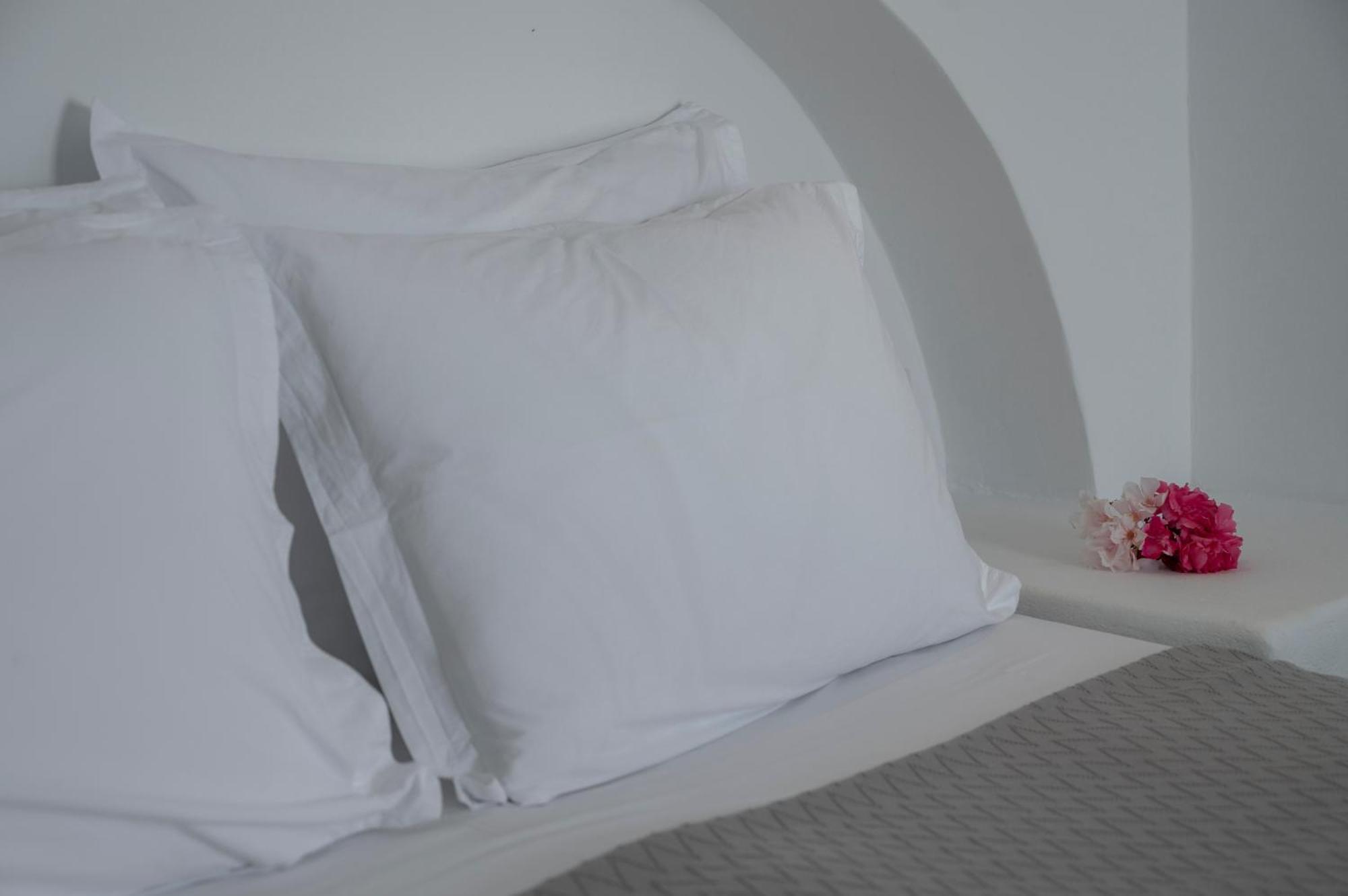 Aegean Dream Apartments Tínos エクステリア 写真