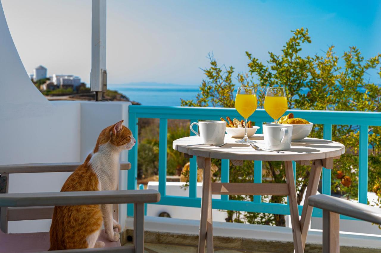 Aegean Dream Apartments Tínos エクステリア 写真